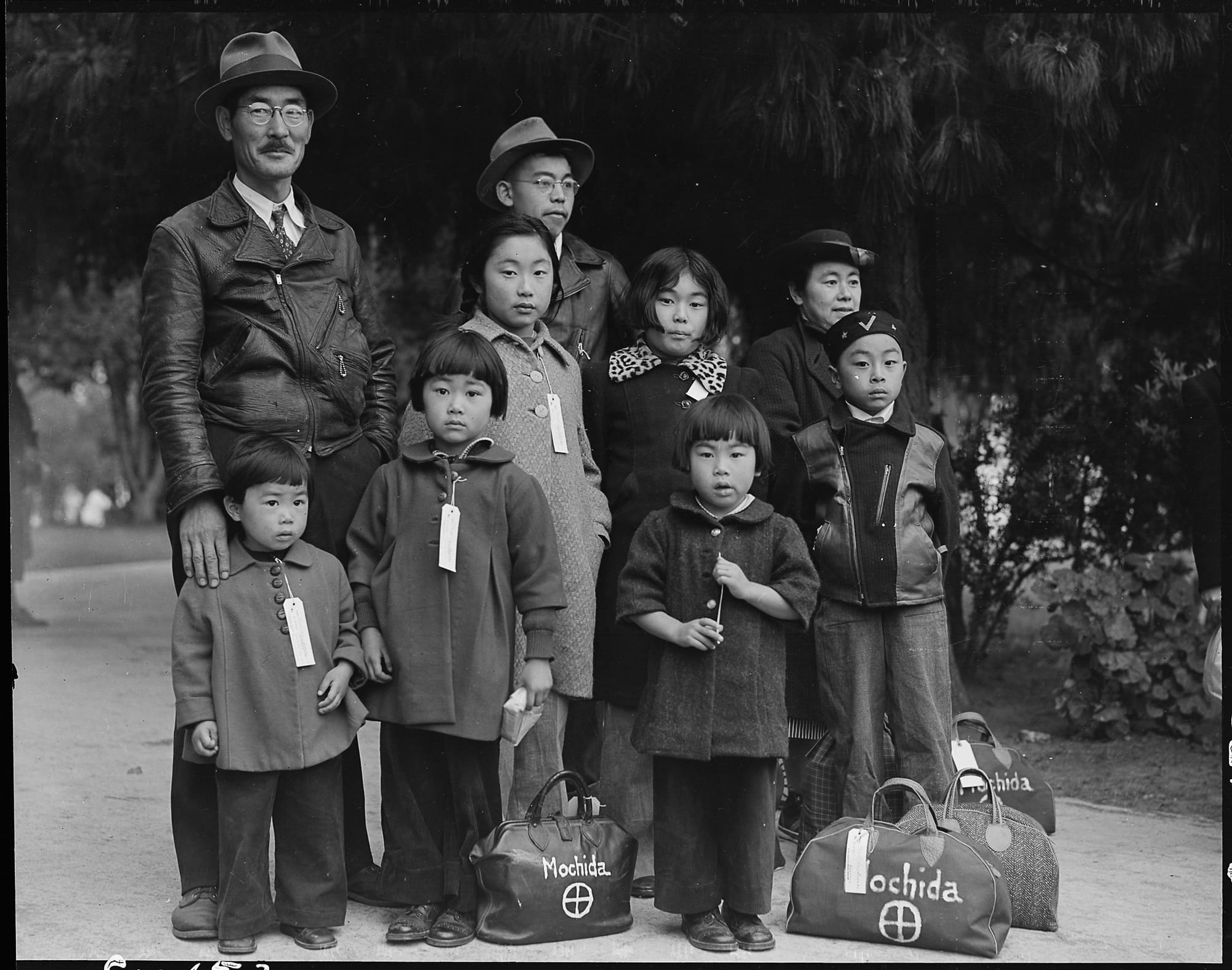 WWII Japanese Mass Incarceration collections